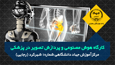 کارگاه هوش مصنوعی وپردازش تصاویر درپزشکی
