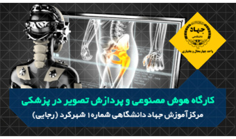 کارگاه هوش مصنوعی وپردازش تصاویر درپزشکی
